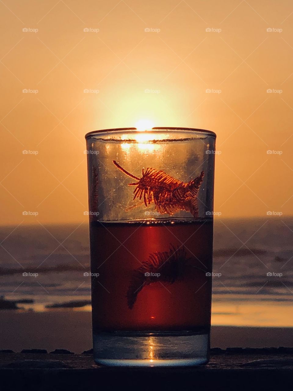 Beautiful cup of tea against the sunset 