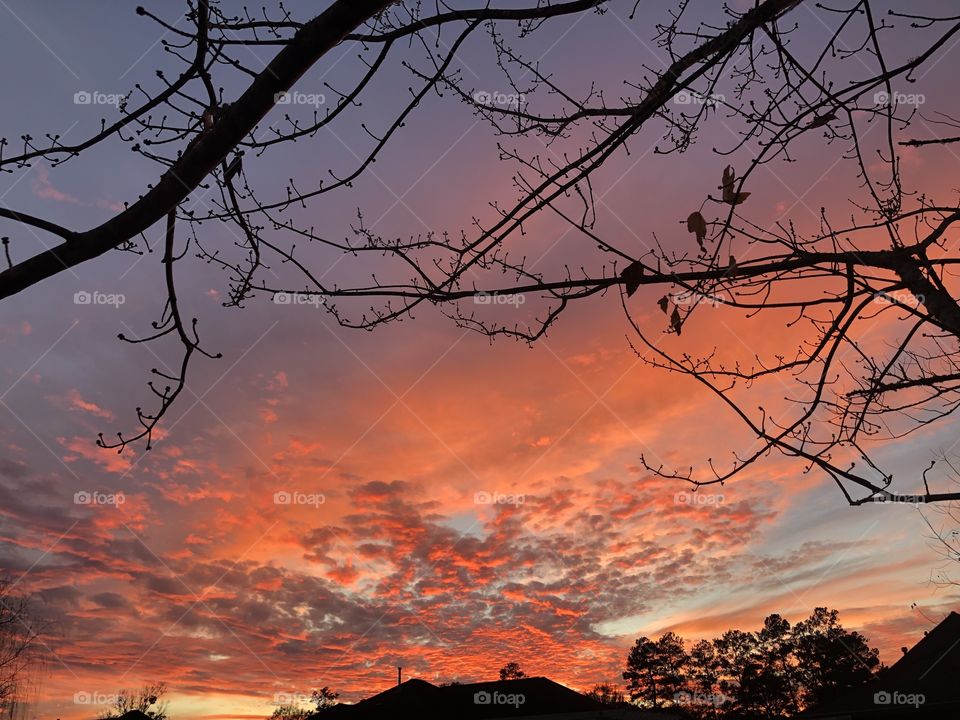 Avery beautiful sunset with orange and lavender and bare tree branches framing the upper part of the sky. 
