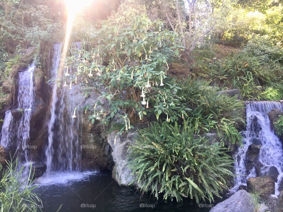 Los Angeles Arboretum and Botanic Garden
