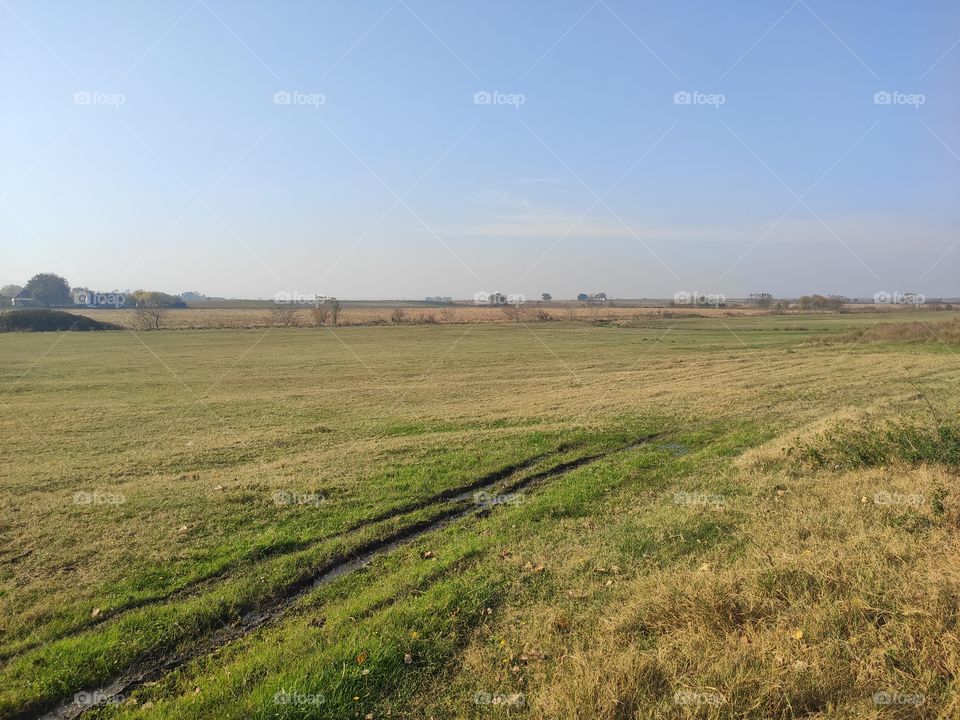 Harvested field In Backa Serbia