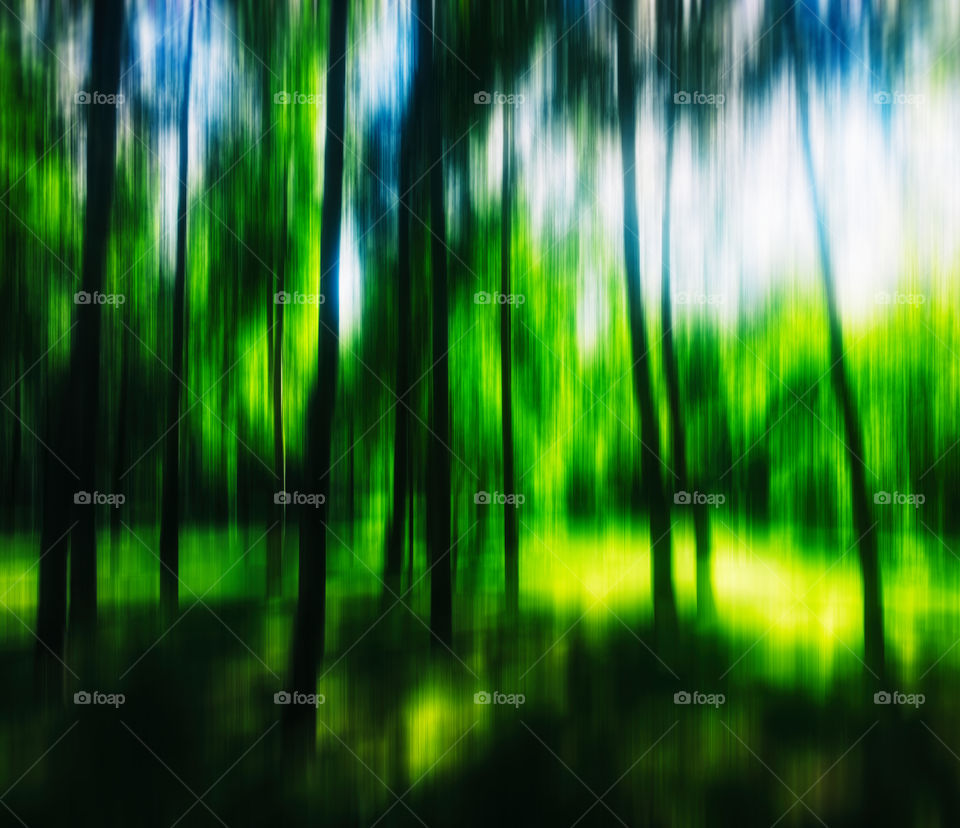 Vivid green trees blur abstraction