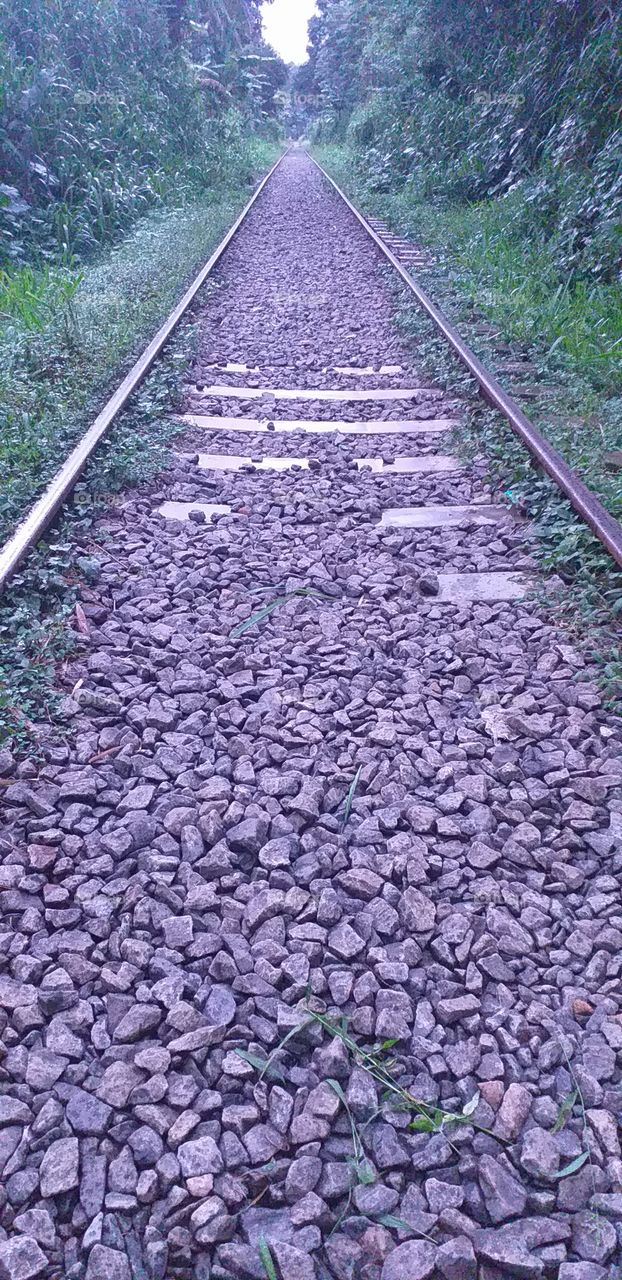 amazing railway track