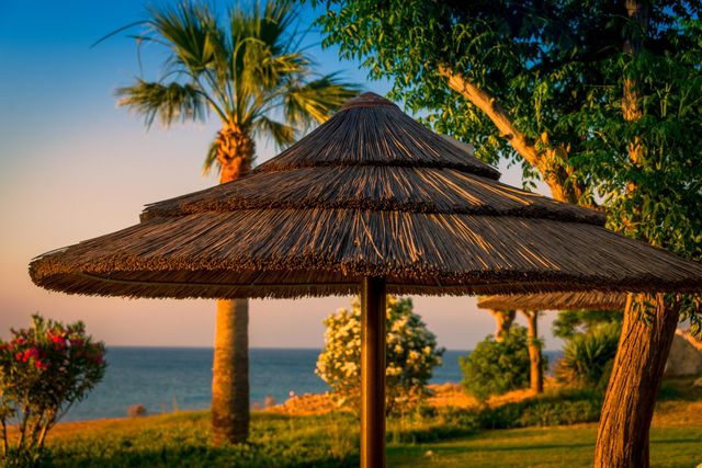 Wooden umbrella