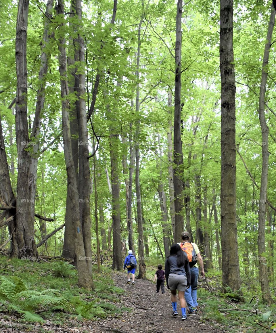 A family hiking in the forest 