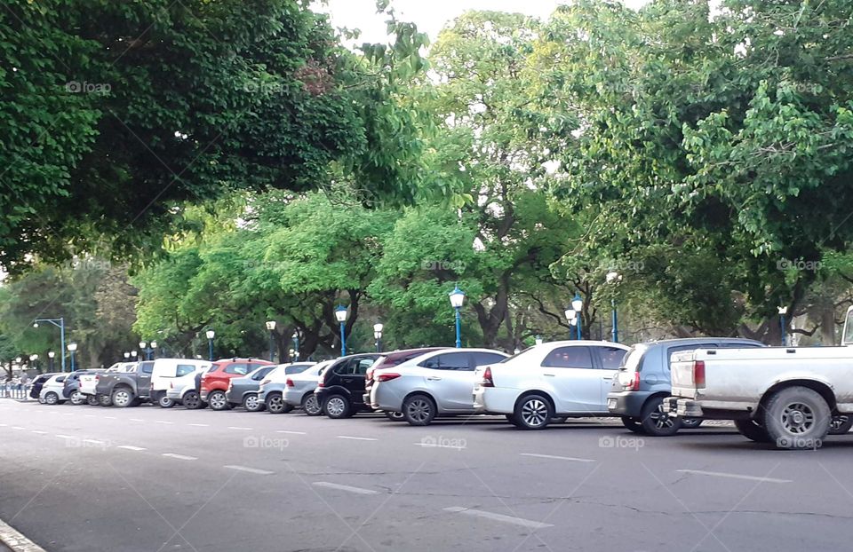 plantas en la ciudad