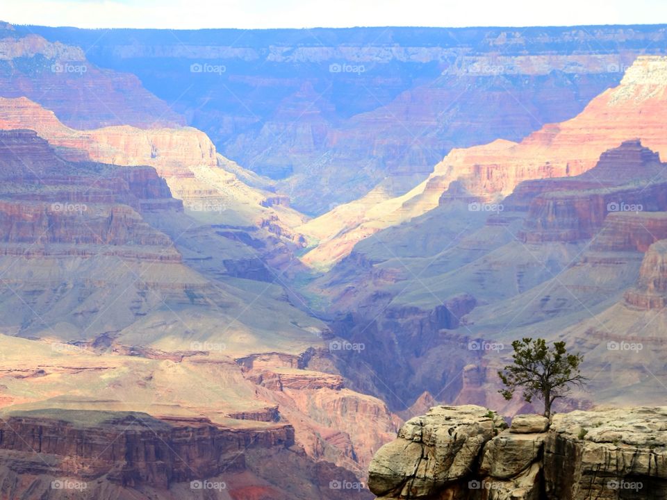 View of grand canyon