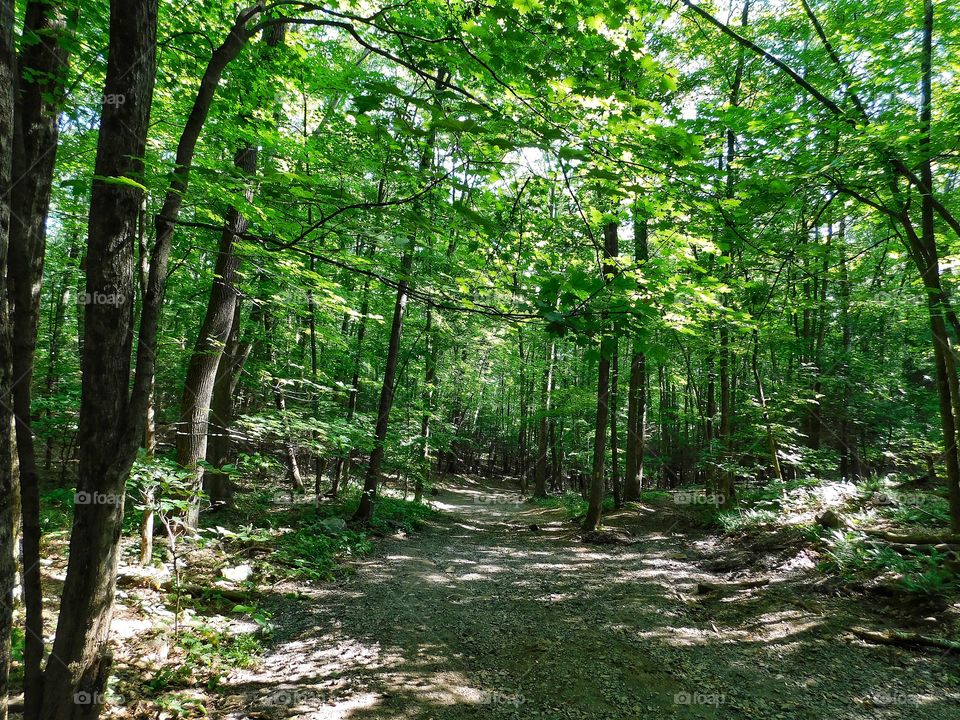 Talcot Mountain State Park