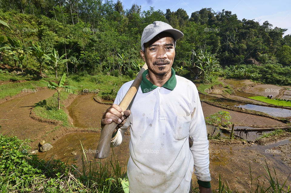An Indonesian farmer works in a paddy field in Bogor West Java, Indonesia.