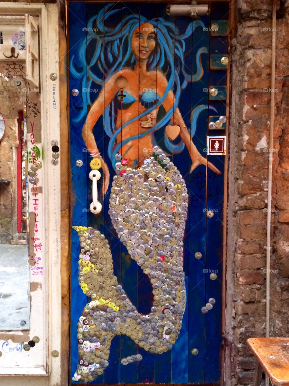 Unique. Unique "Ladies" toilet door found in a ruin bar in Budapest ...