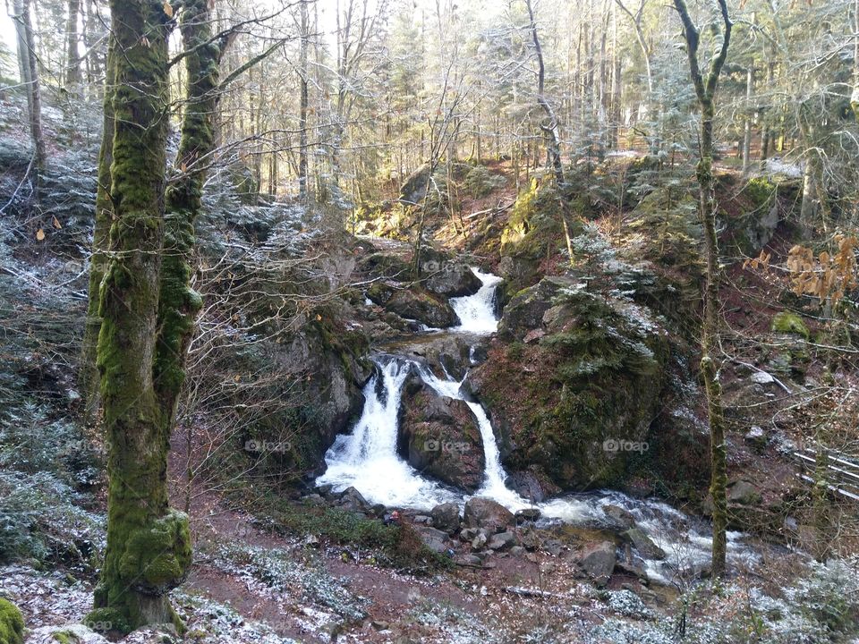 Waterfall Vosges
