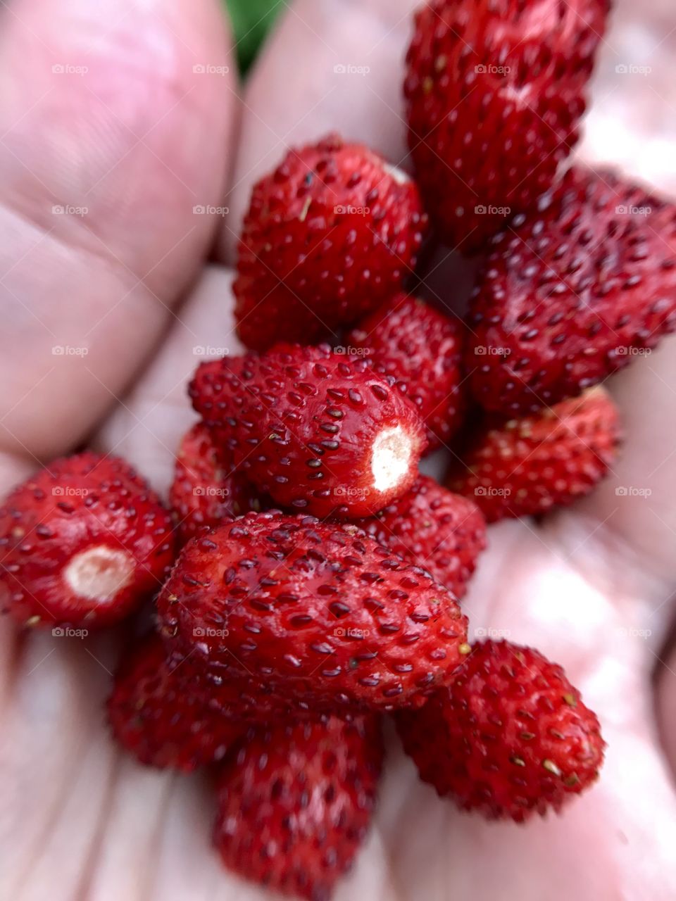 Strawberries