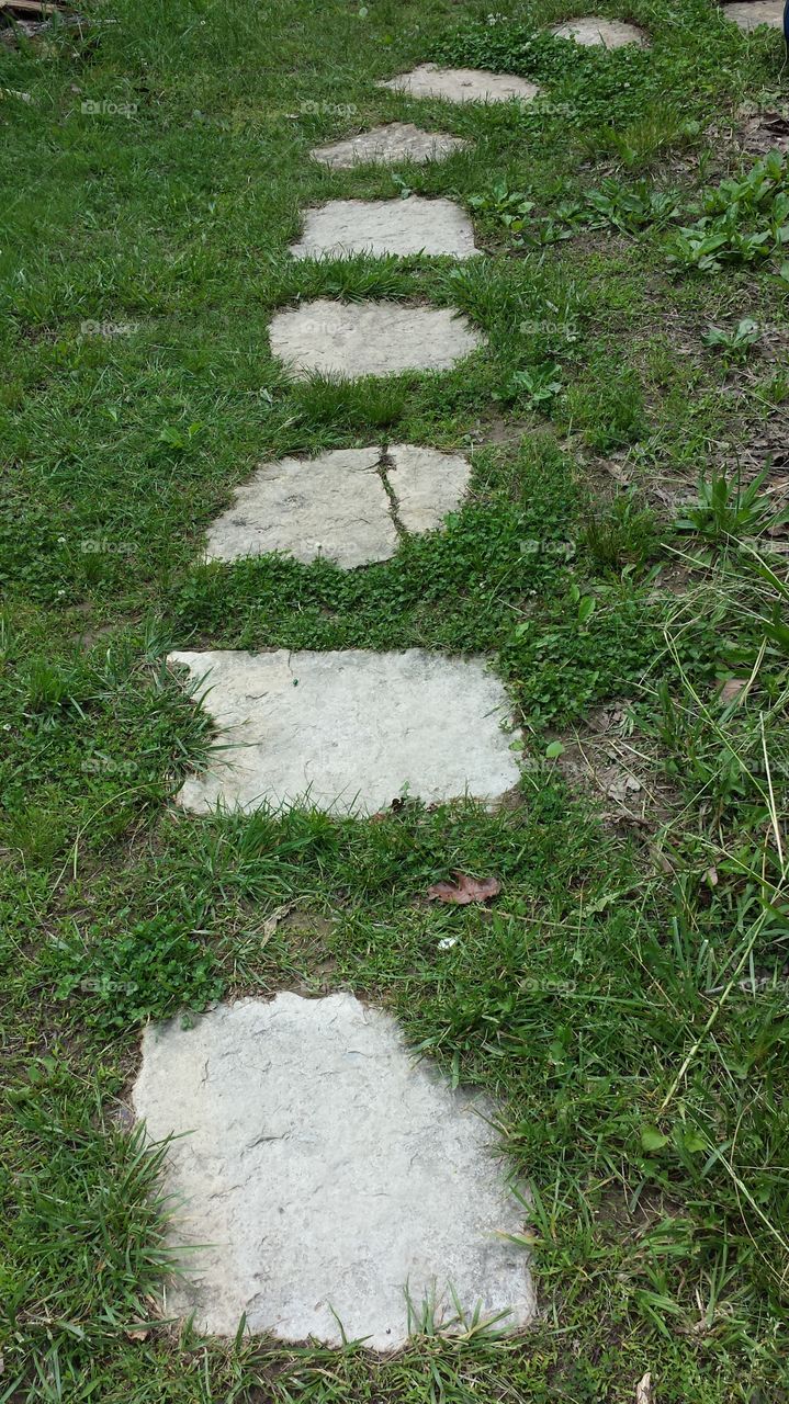 Flagstone Path. Walkway