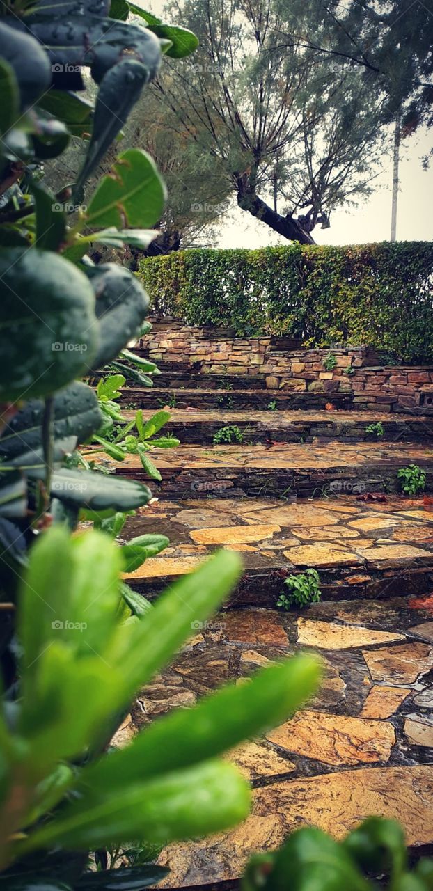 Park#autumn#season#rain#leaves#stairs