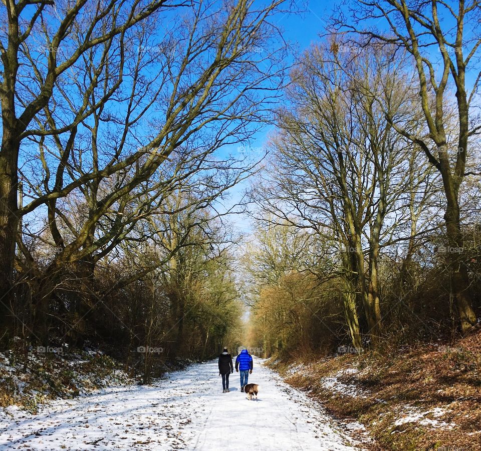 Winter walks 