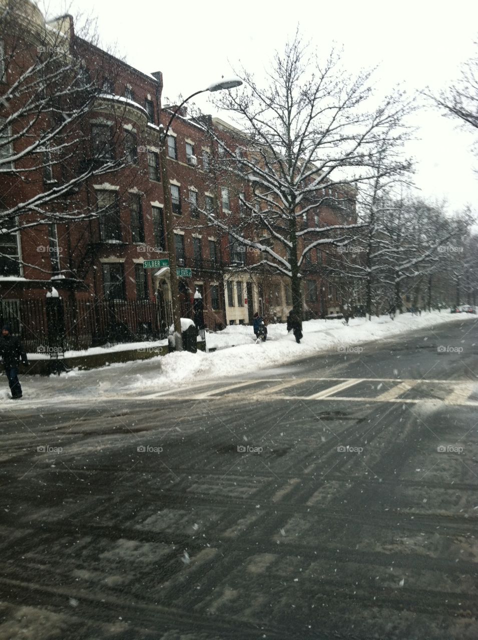 Crosswalk in the snow