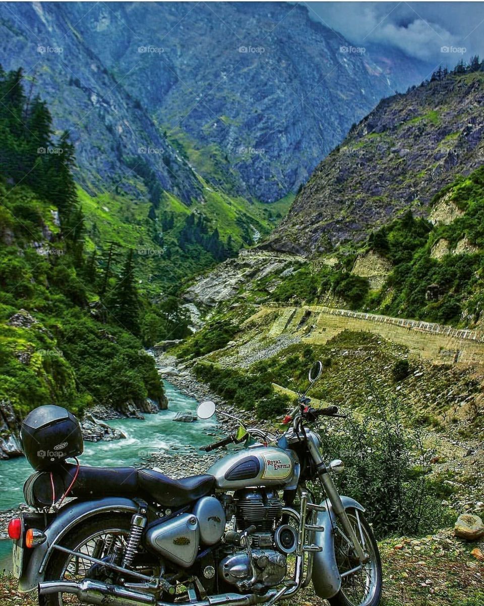 chamoli uttarakhand forest view