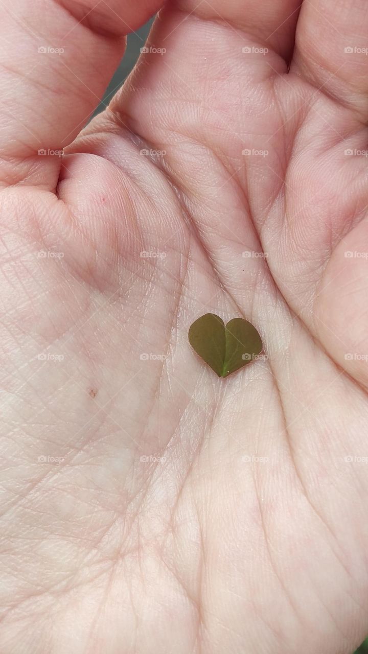 the heart of those who love us