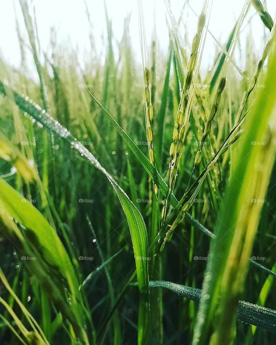 the best of September in my gallery