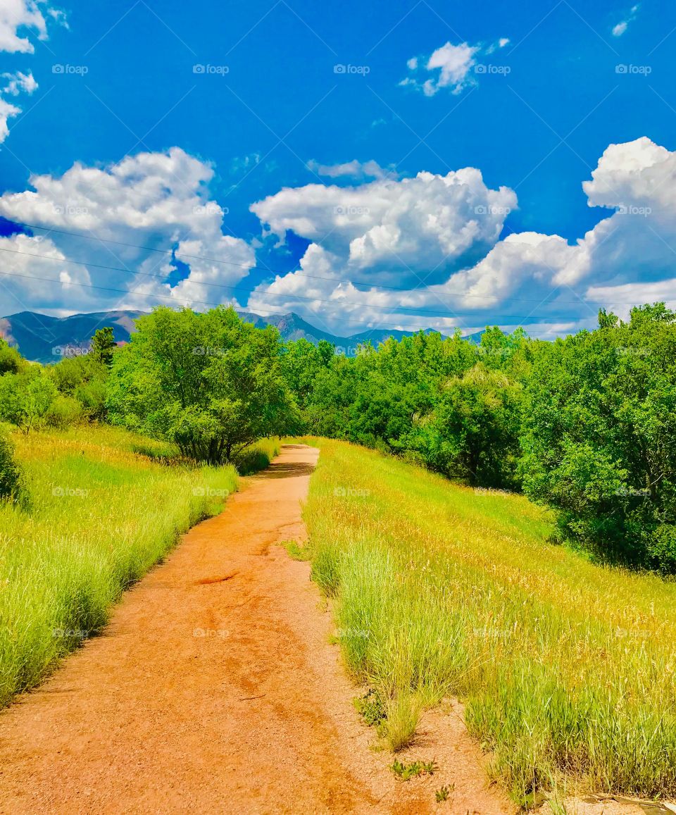 Hike through Austin Bluffs Open Space in Colorado Springs on a beautiful summer day. A great place for biking, hiking and dog walking