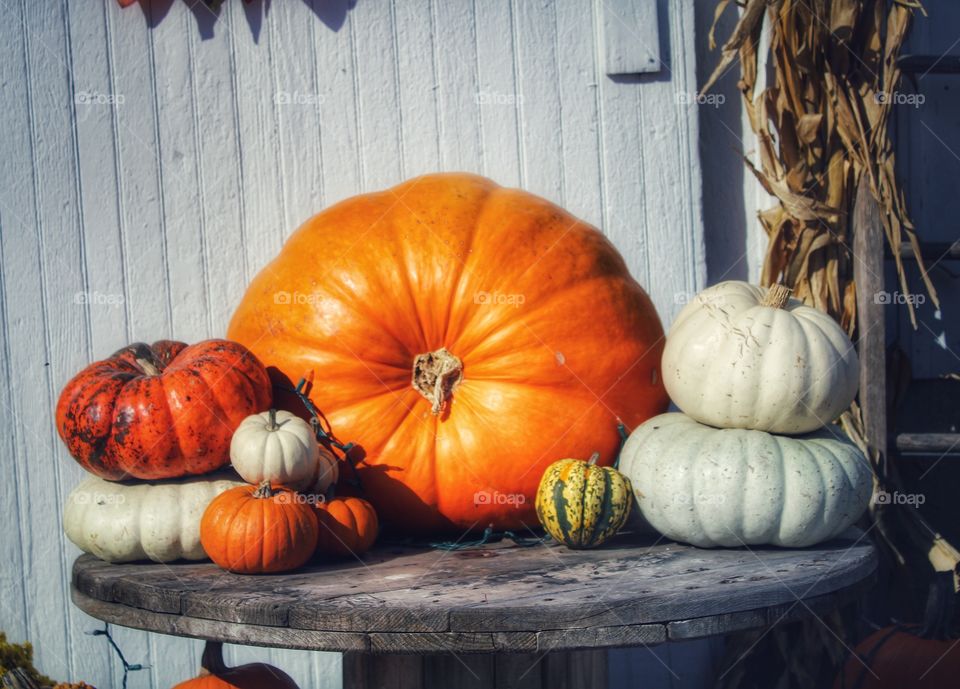 group of not so scary but pretty pumpkin