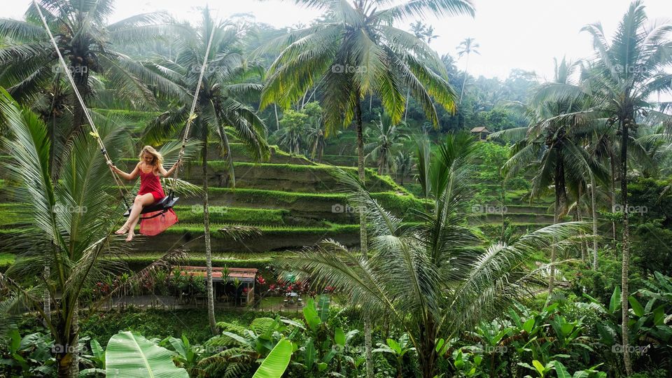 Girl in Red above the ricefield