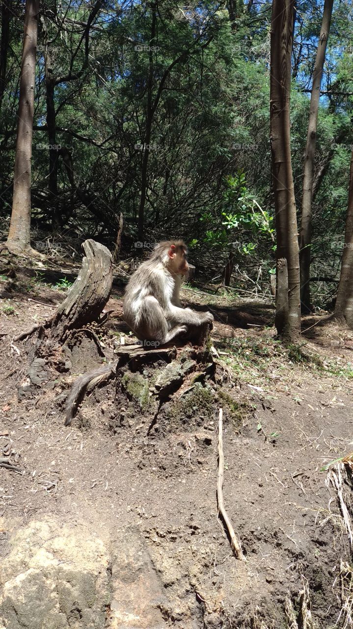 I don't care u Hooomaannnn.....