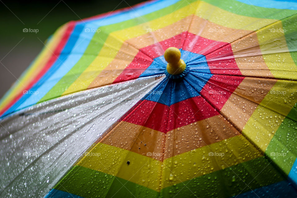 Colourful wet umbrella, close-up