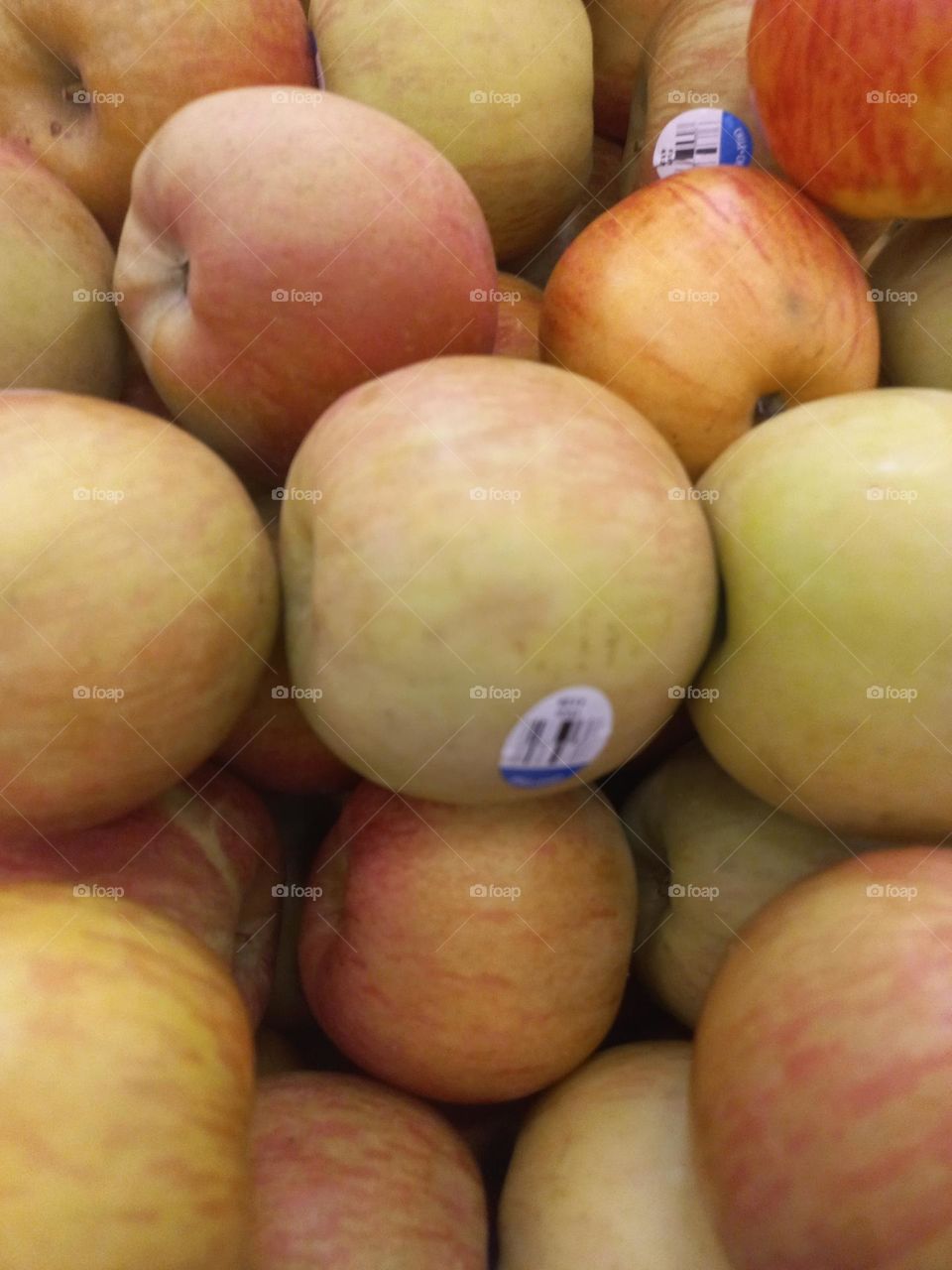 Maçã Fuji , caracterizada pela casca firme, mais arredondada, com rejadas de cores em vermelho e verde amarelado, sabor doce, polpa clara e crocante.