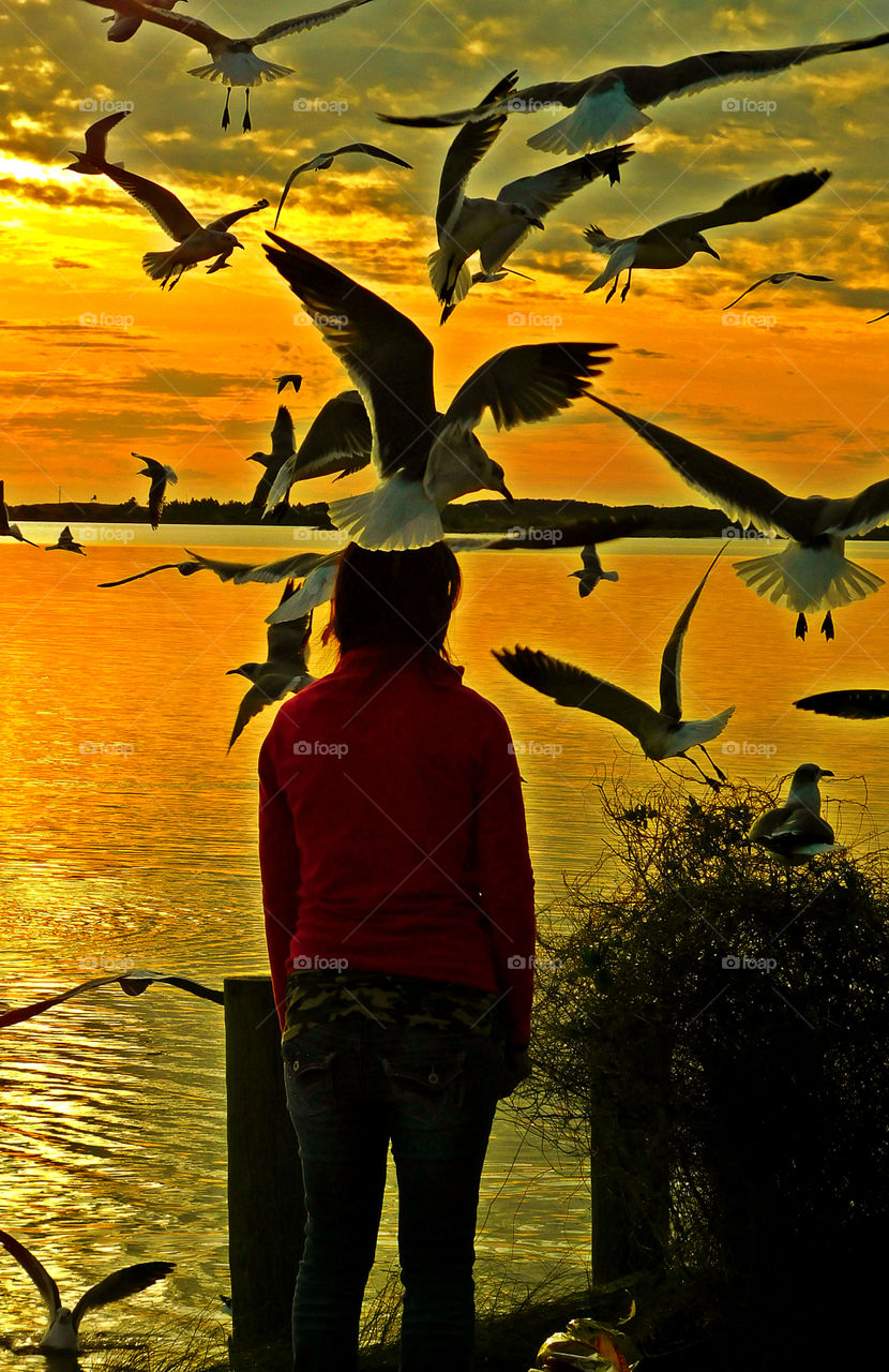 Incredible Sunset! There is nothing as diverse as nature itself. It is a beautiful place; and it is everywhere. I am a haunter of nature who loves its beauty and solitude. Take a deep breath, relax, open your eyes, and enjoy the ride through my beautiful world of nature!