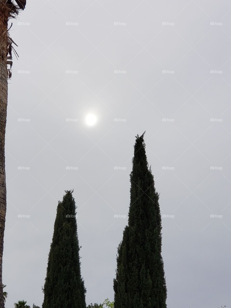 sun through the clouds