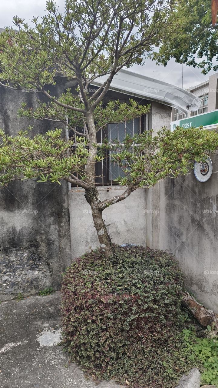 view of old house, village