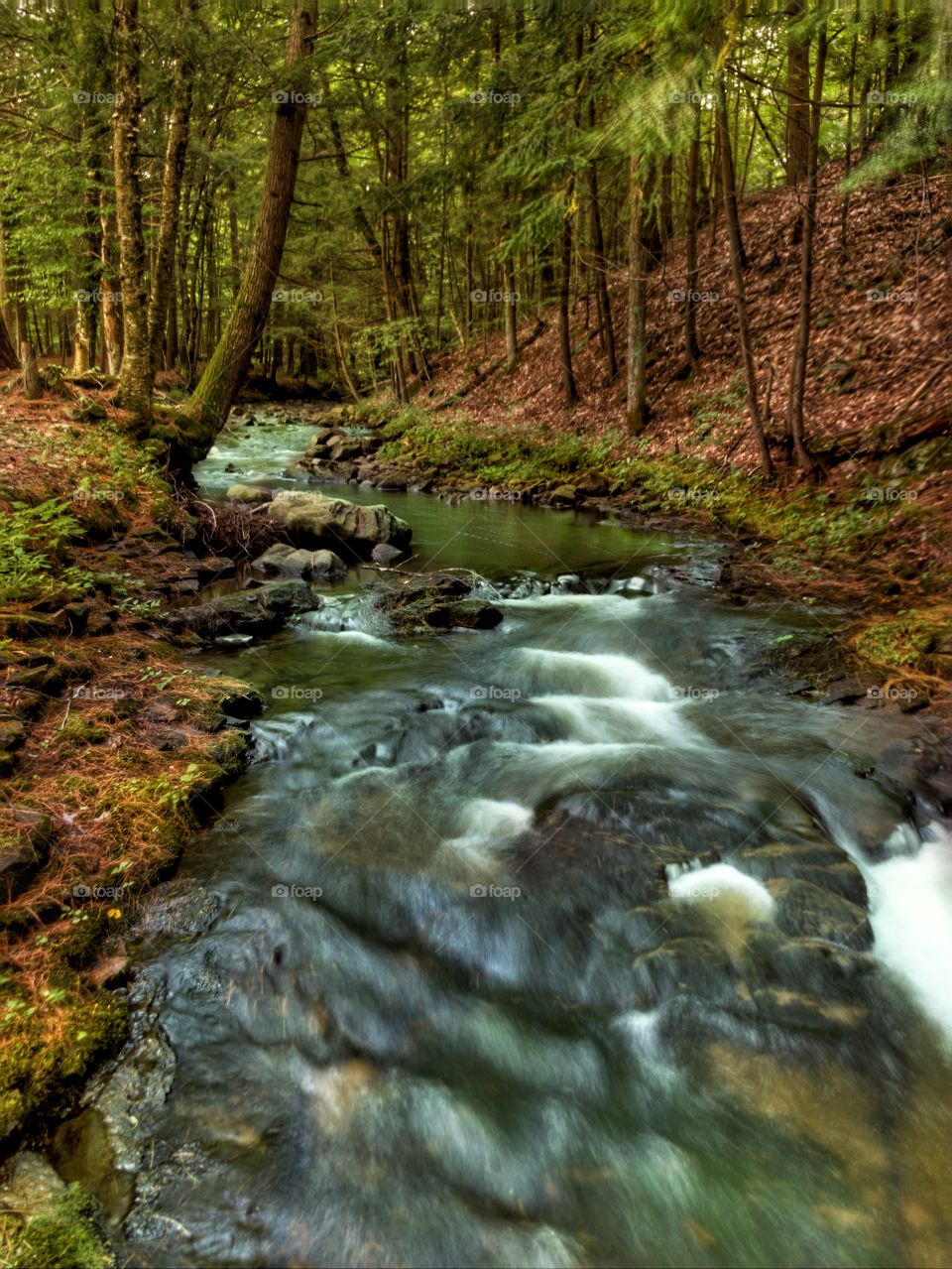 Adirondacks flow