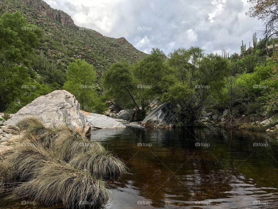 Nature Mountain Landscape - Sabino Canyon in Tucson, Arizona 