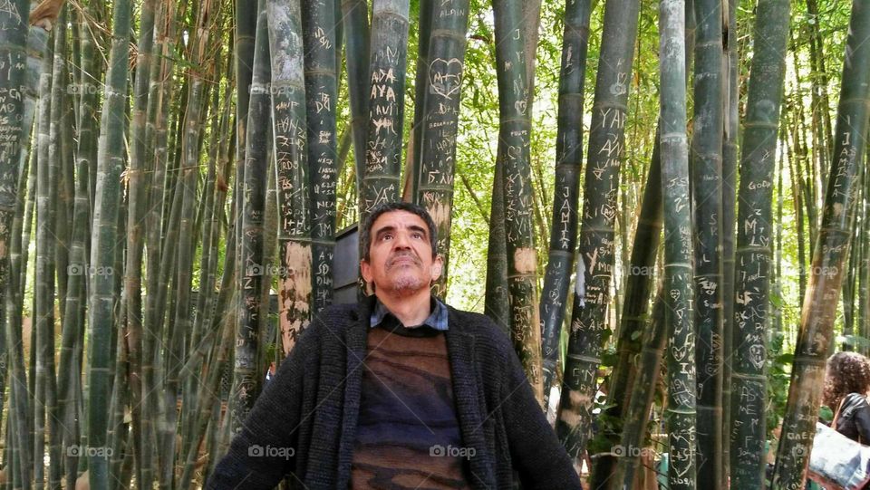  I stand in the arms of nature among the bamboo trees.