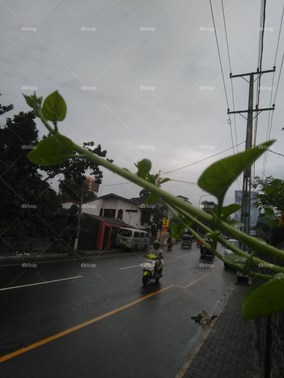 a rainy day road side