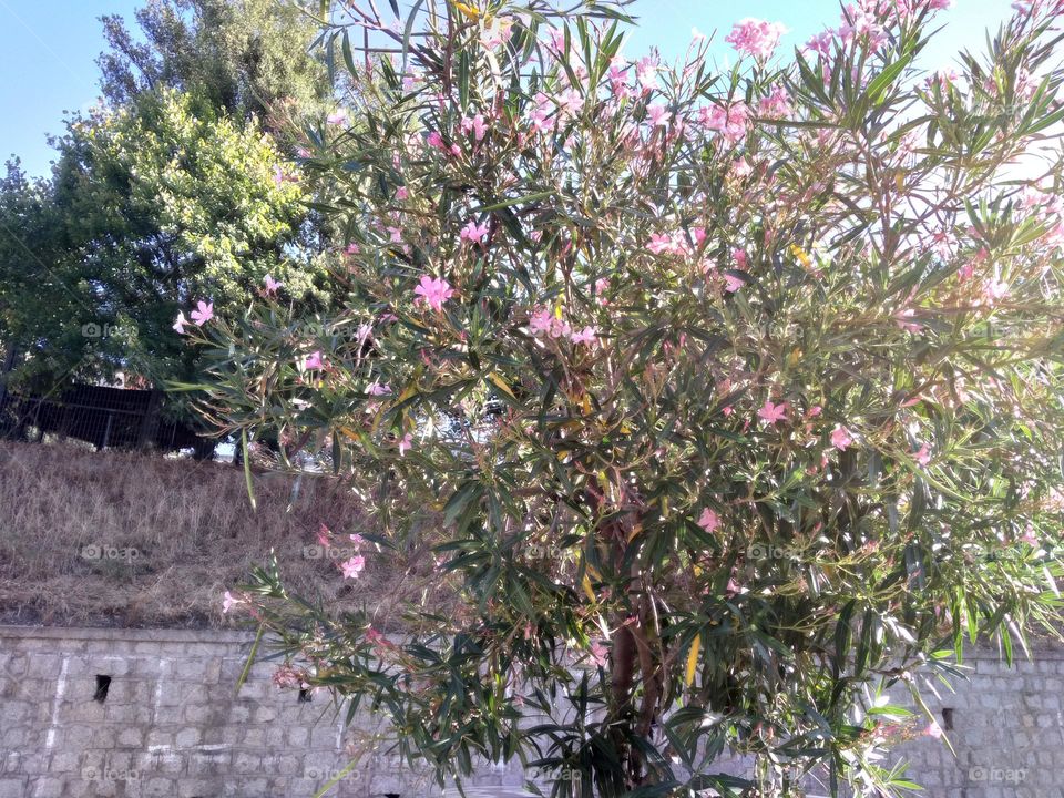 Editors' Choice - Photo of the Week