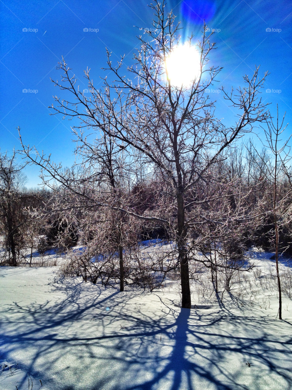 snow winter landscape sky by somebeach