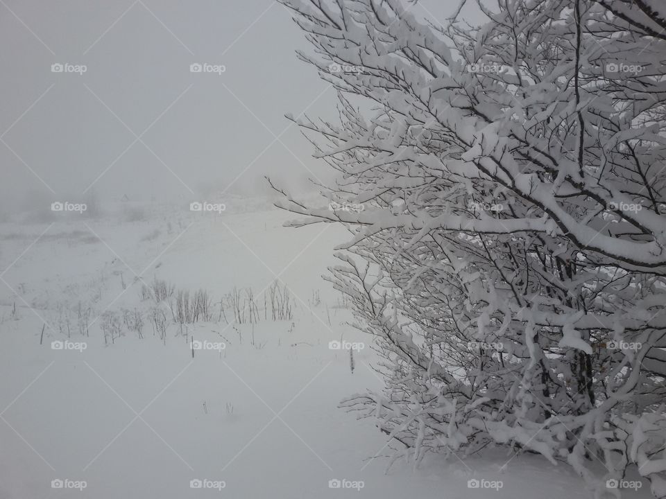 winter time mountain with snow. winter time mountain with snow