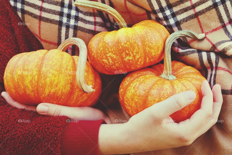 Autumn days are here with warm scarves, fresh air and pumpkin picking on the weekends
