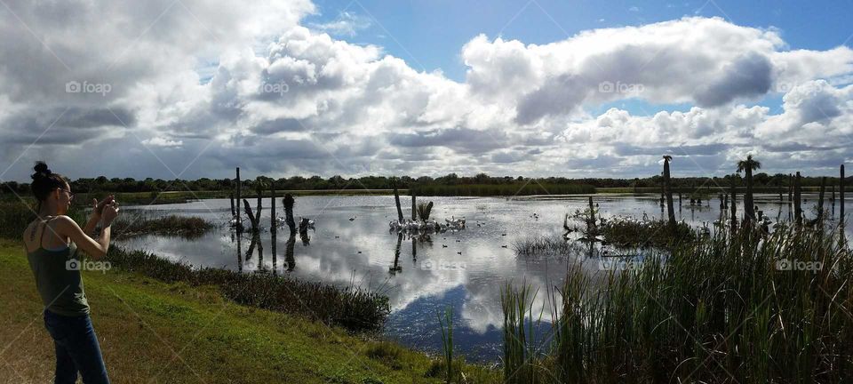 Wetland Reflections