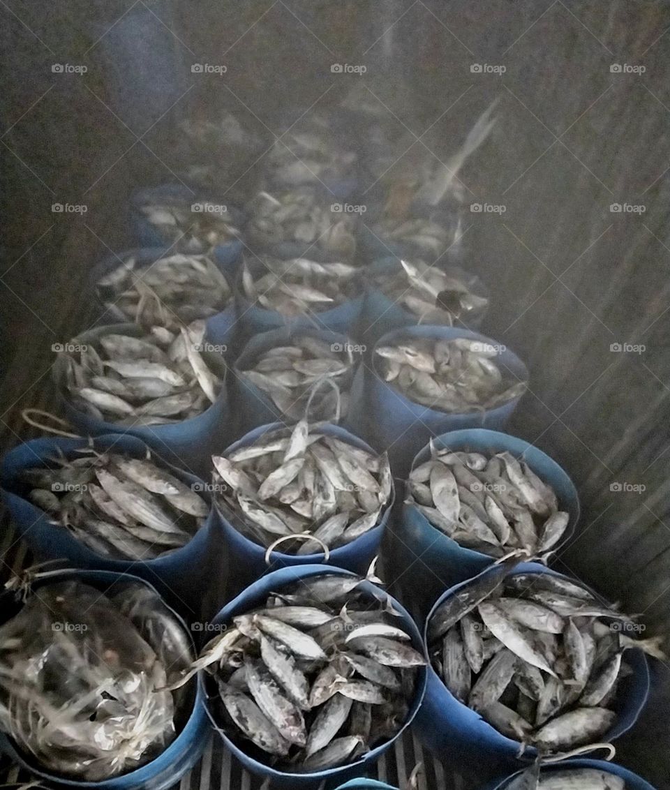 frozen cakalang before sorting the size