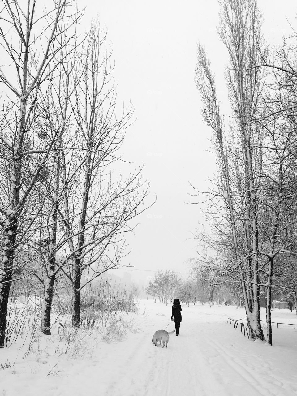 Woman walking with a dog in winter 