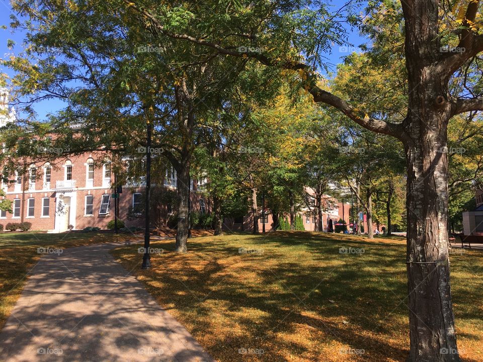 WCSU Midtown campus in fall