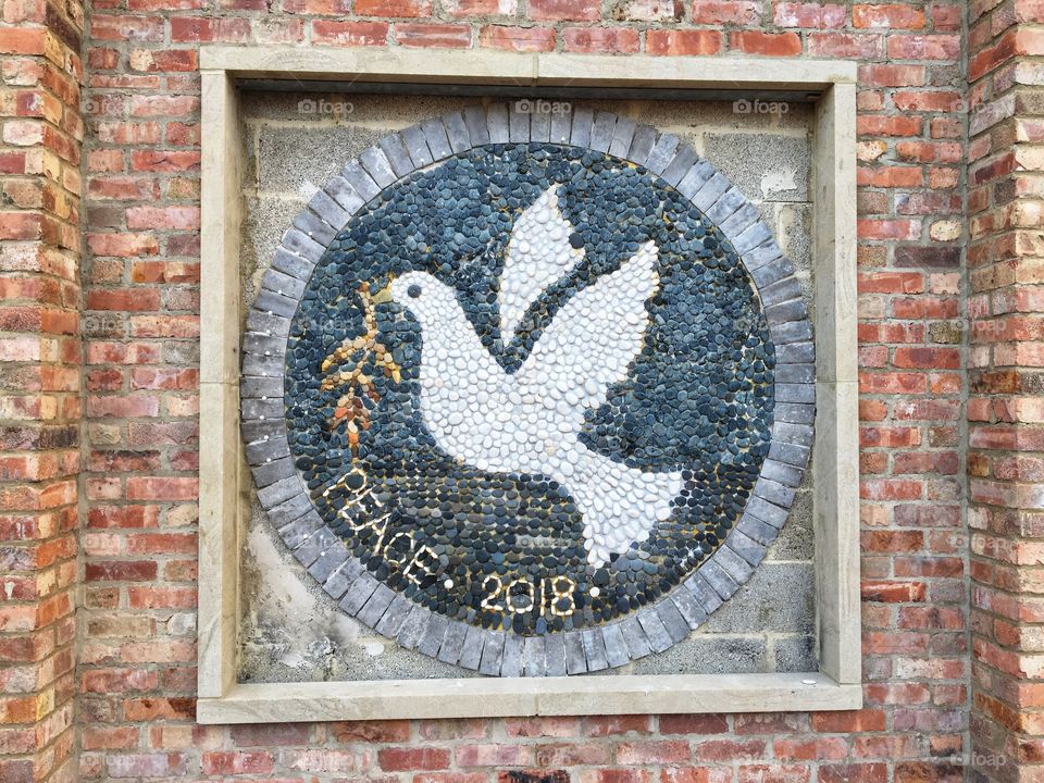 Found this beautiful mosaic in my home town today ... so beautiful 🕊