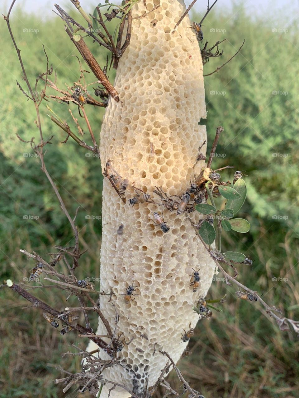 am poor. I want your support. Stop it