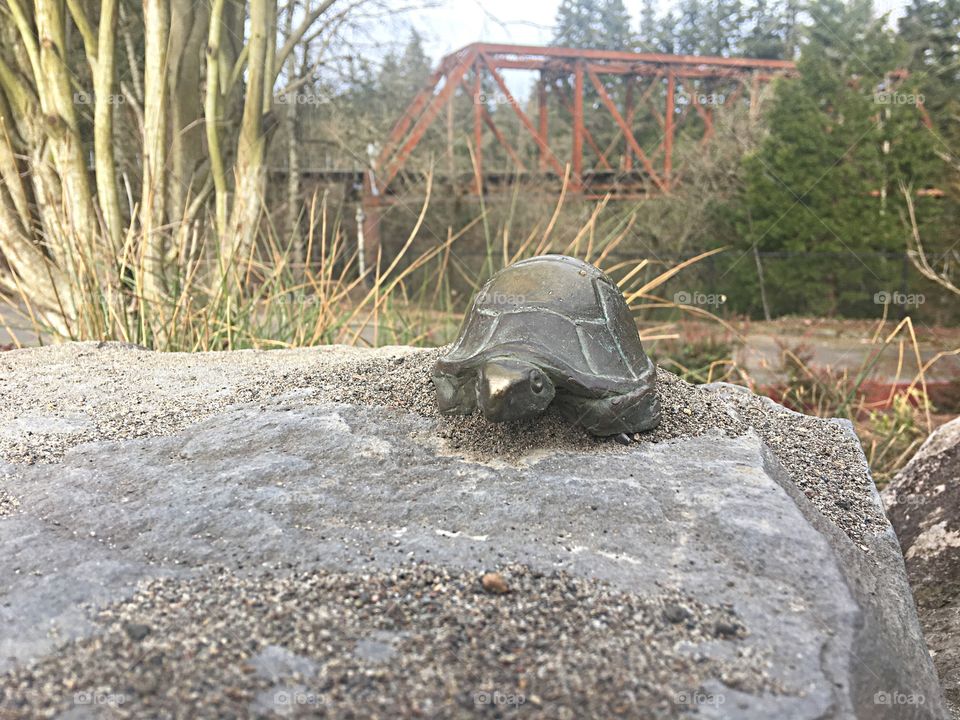 Creative little statue of a turtle made from copper in a beautiful park next to the Tualatin river in  Oregon