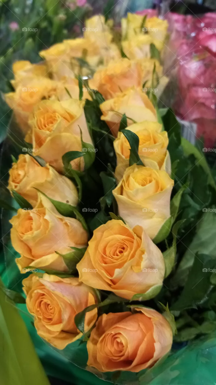 Blumen