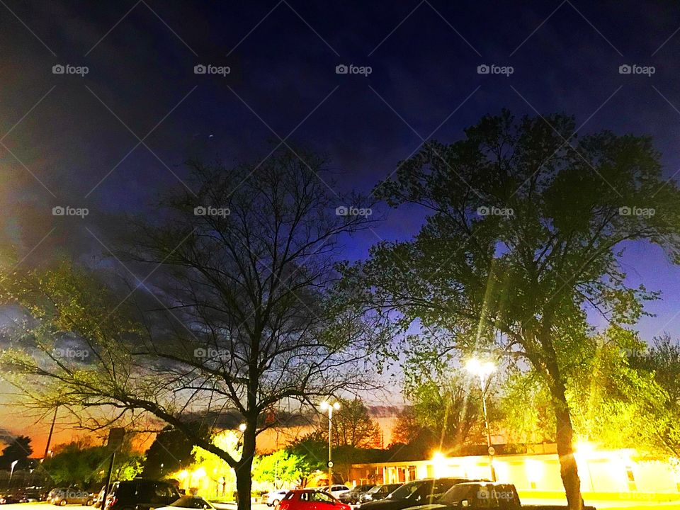 Starry night on a parking lot with the vivid sky against the backdrop of the trees