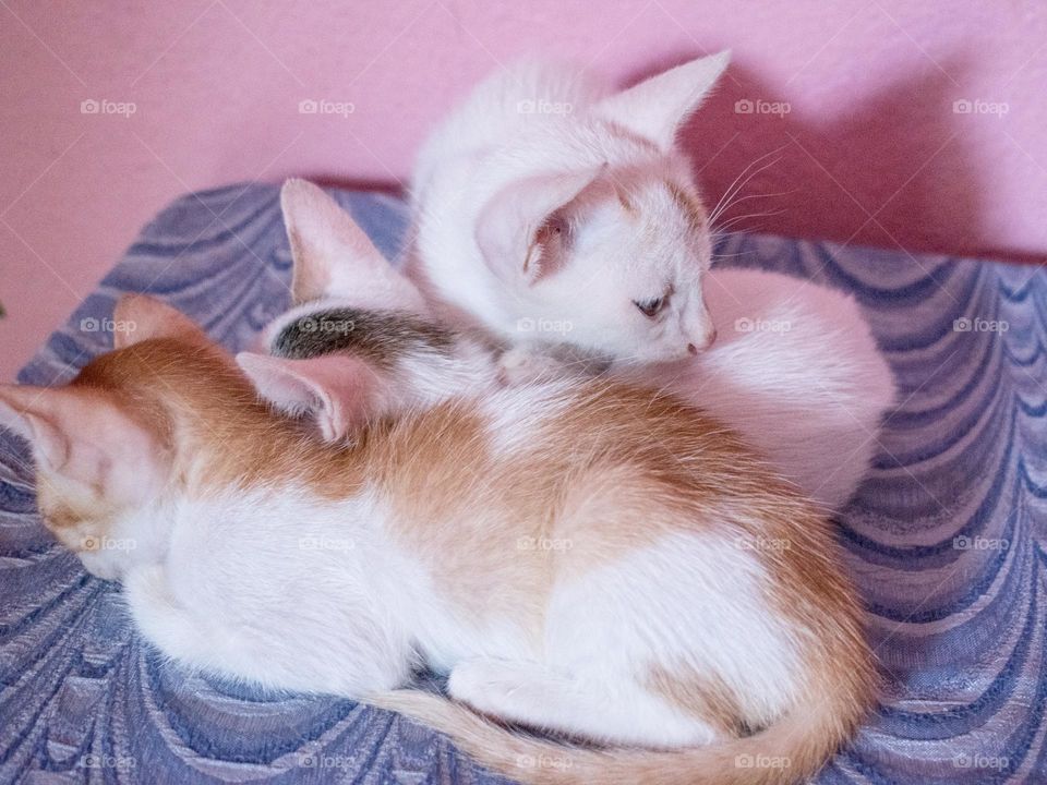 nap time with siblings