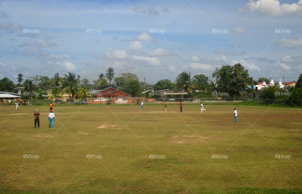 Local cricket game